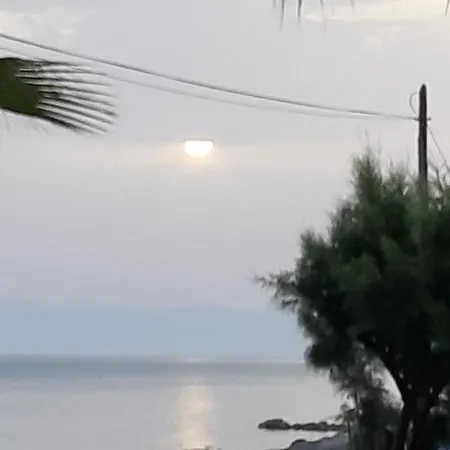 Sidari Beach Hotel Hotel